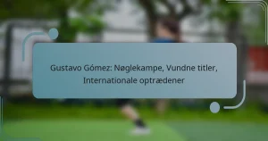 Gustavo Gómez: Nøglekampe, Vundne titler, Internationale optrædener