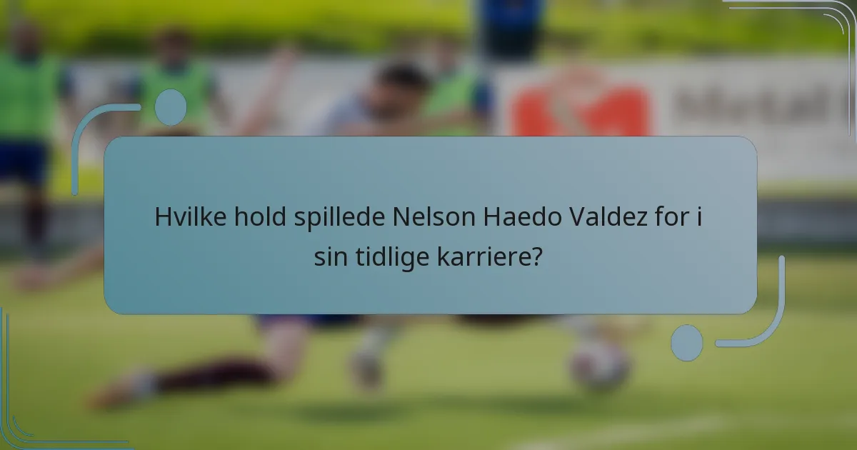 Hvilke hold spillede Nelson Haedo Valdez for i sin tidlige karriere?