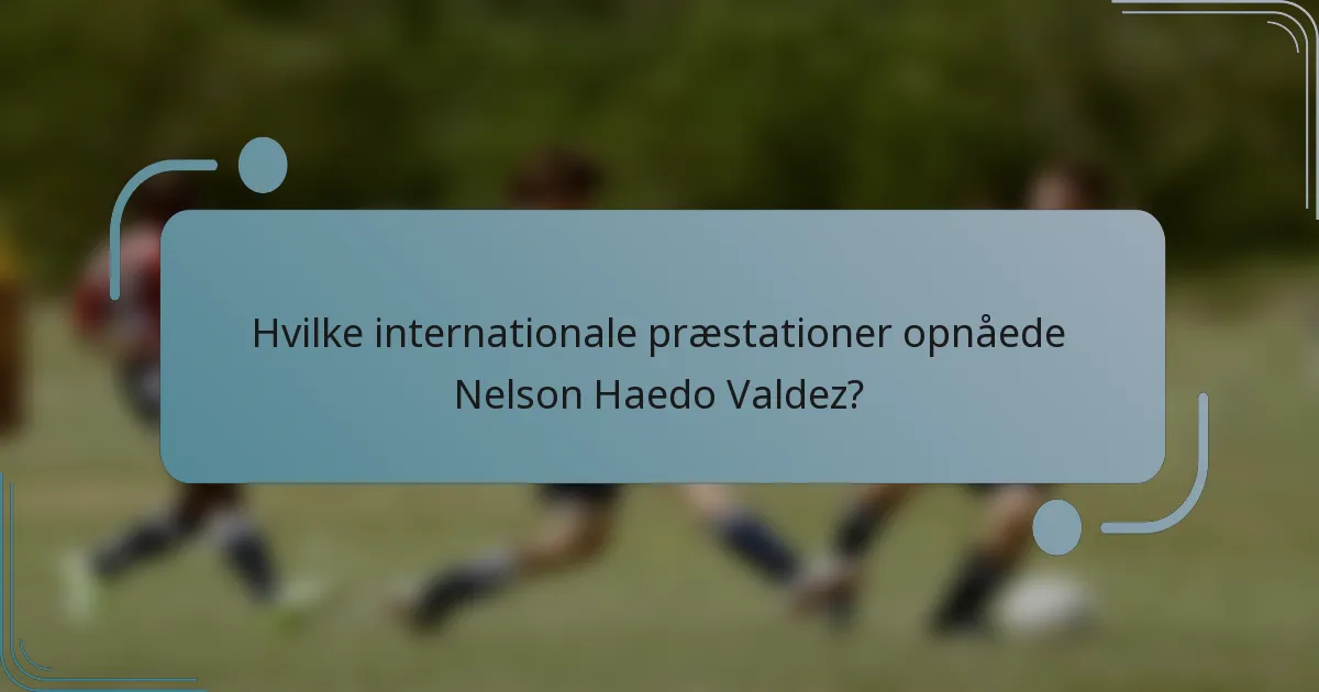 Hvilke internationale præstationer opnåede Nelson Haedo Valdez?
