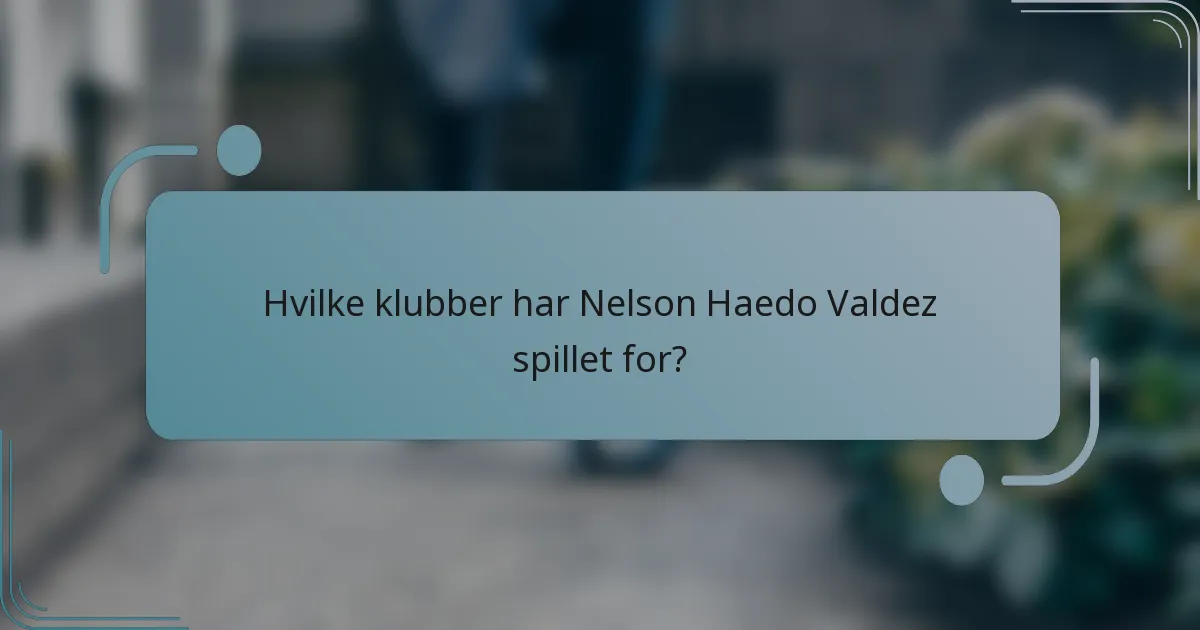 Hvilke klubber har Nelson Haedo Valdez spillet for?