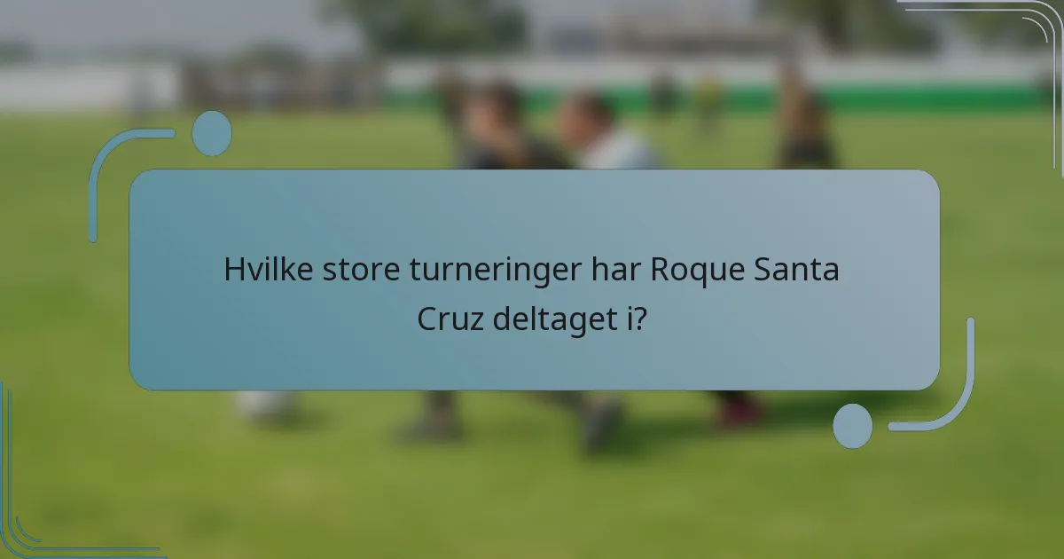 Hvilke store turneringer har Roque Santa Cruz deltaget i?