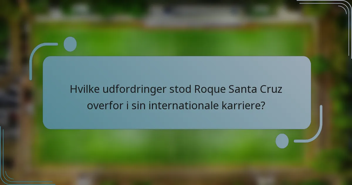 Hvilke udfordringer stod Roque Santa Cruz overfor i sin internationale karriere?