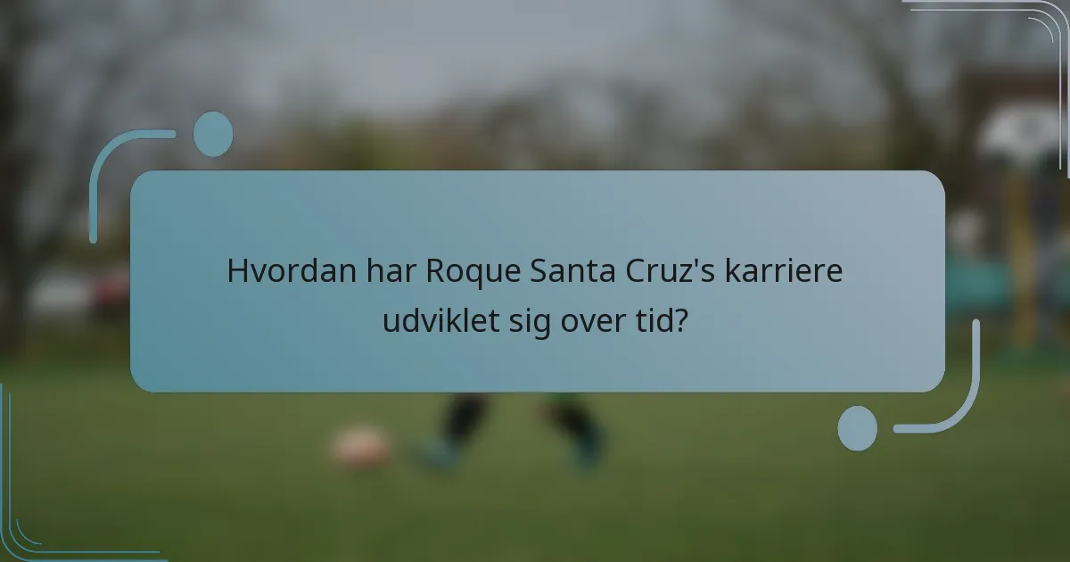 Hvordan har Roque Santa Cruz's karriere udviklet sig over tid?